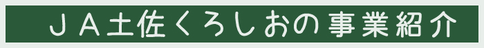 事業紹介